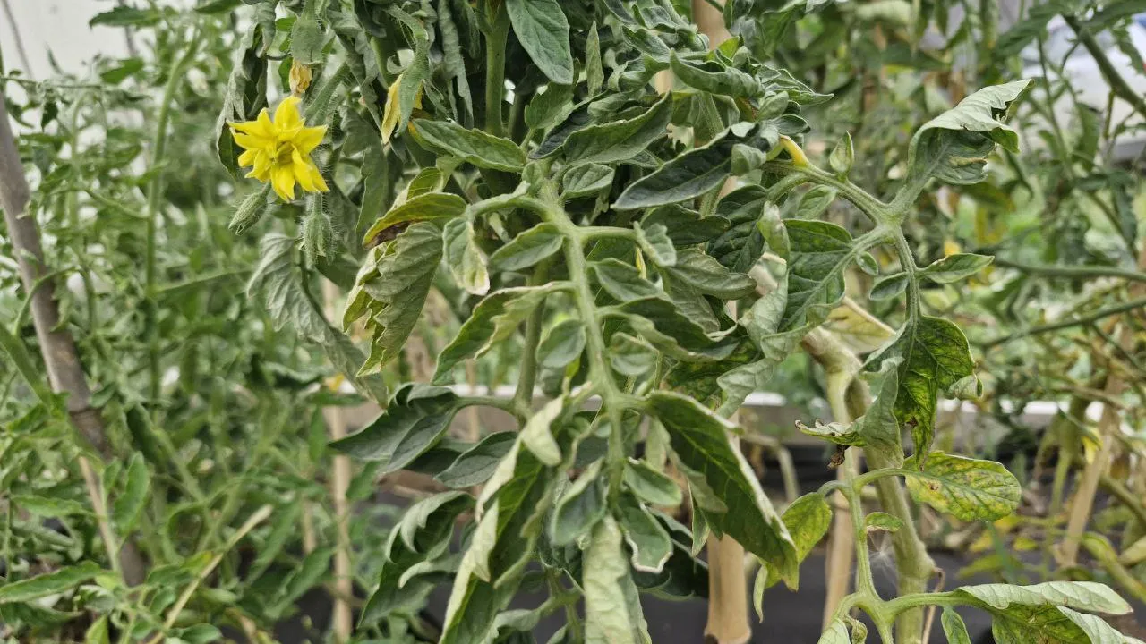 Фото: REGIONS/Наталия Надточая