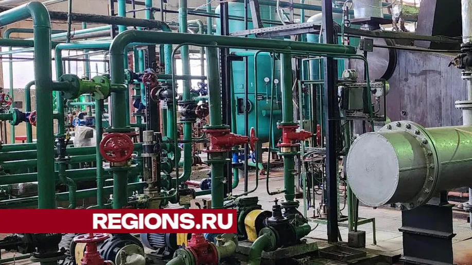 Фото: Валерия Тингаева