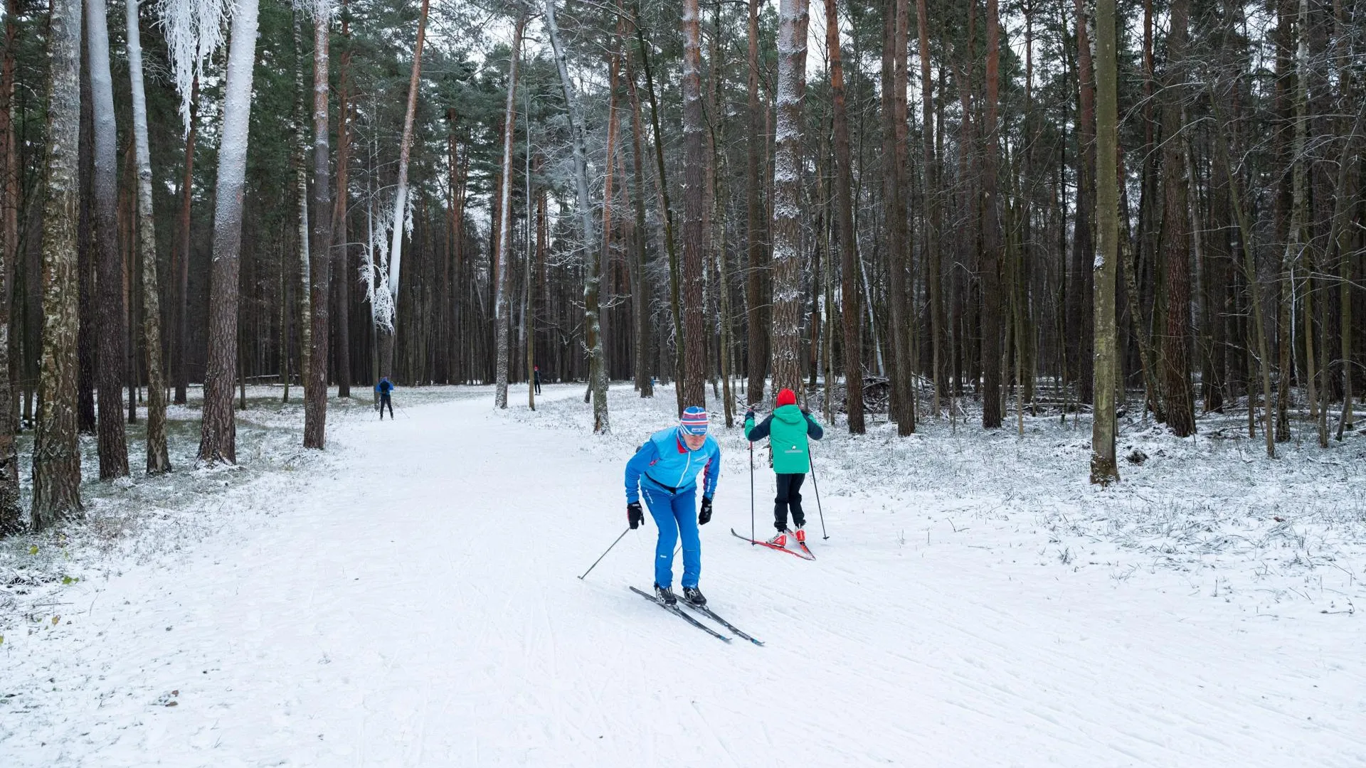 Фото: ИА «Все новости Лыткарино»