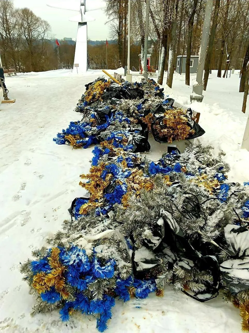 Фото: Администрация городского округа Истра / ВКонтакте