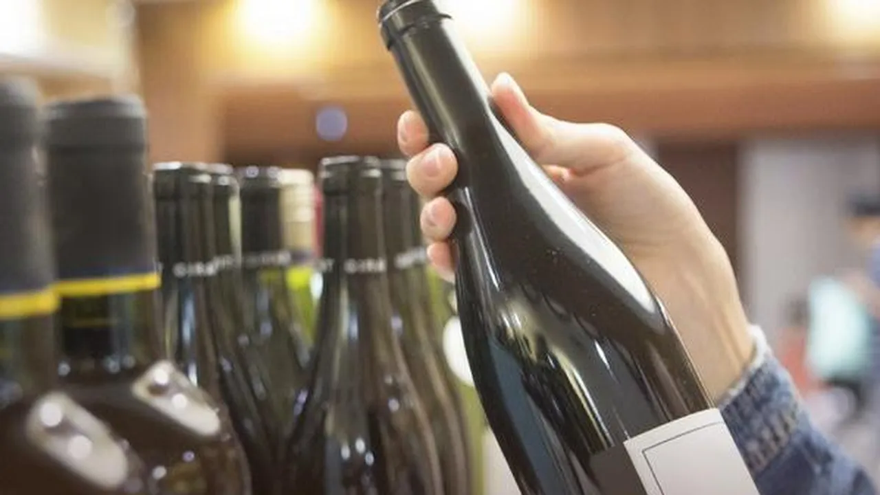 Фото: Пресс-служба Минсельхозпрода МО