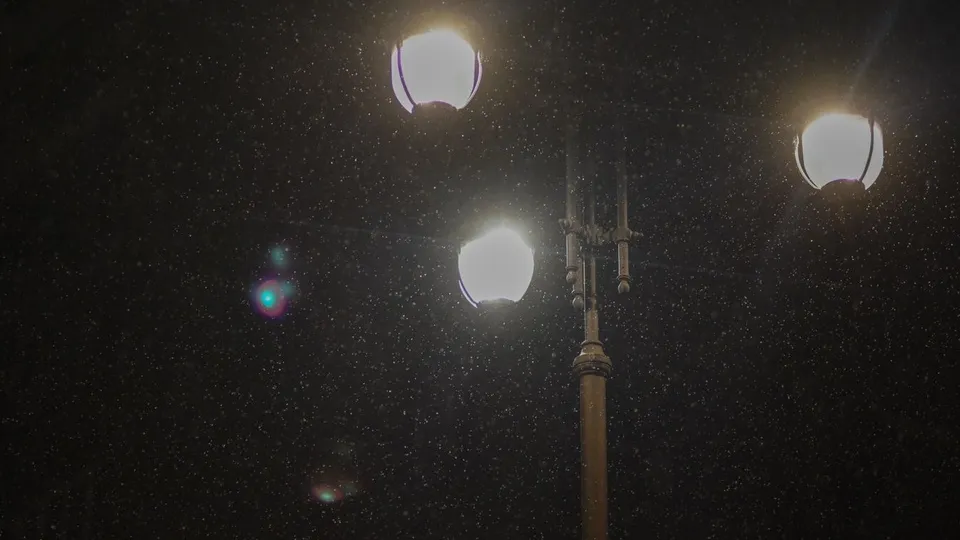 Фото: медиасток.рф