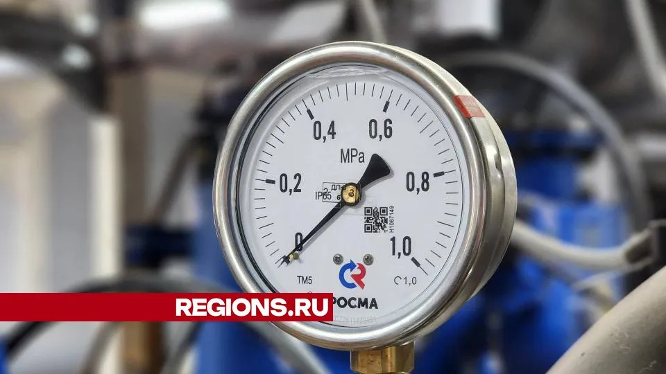 Фото: Светлана Плотникова