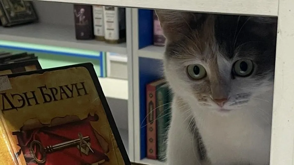 Фото: ЦБС Дзержинского