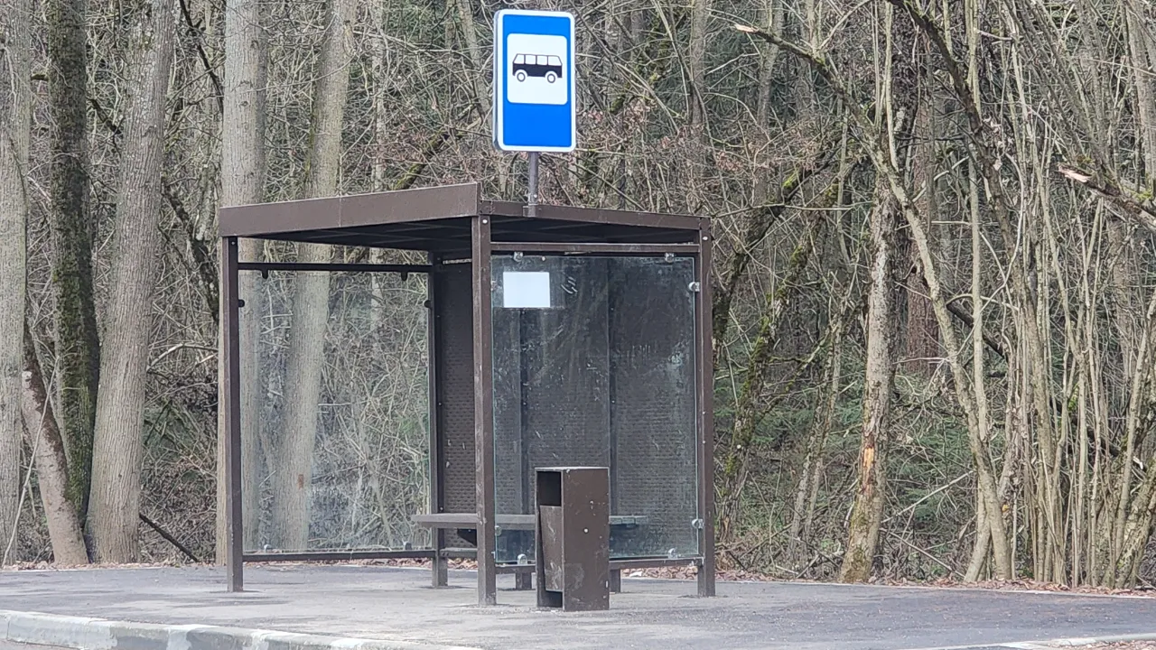 REGIONS/Хавива Фонина