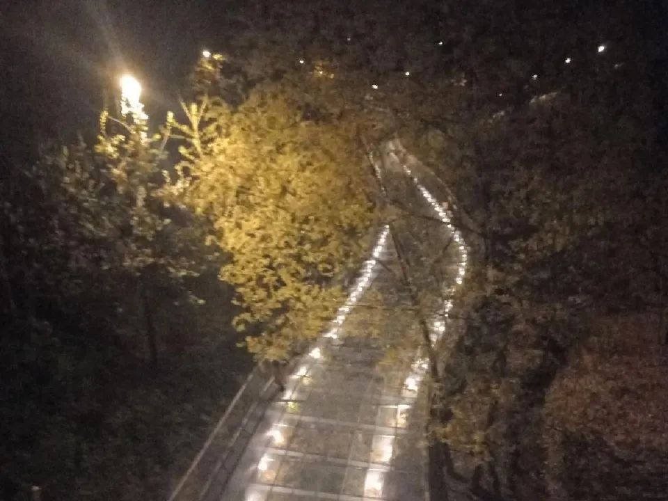 Фото: администрация г.о. Одинцово