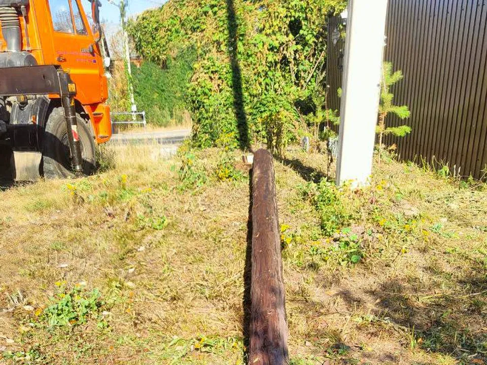 Фото: администрация г.о. Серебряные Пруды&nbsp;