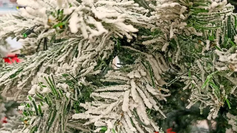 Фото: REGIONS/Эльвира Сафина