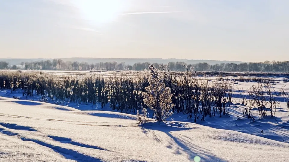 Фото: REGIONS/Алексей Селиверстов