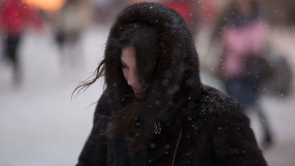 Фото: медиасток.рф