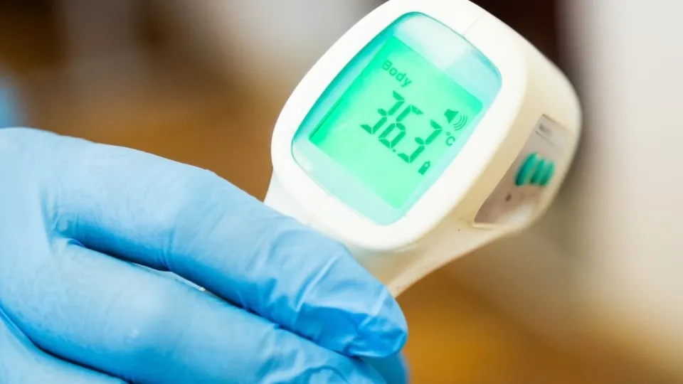 Фото: пресс-служба администрации г.о. Кашира