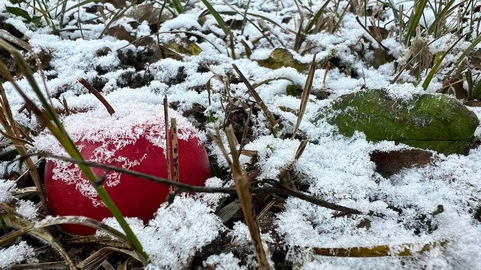 Фото: REGIONS/Елена Фурман