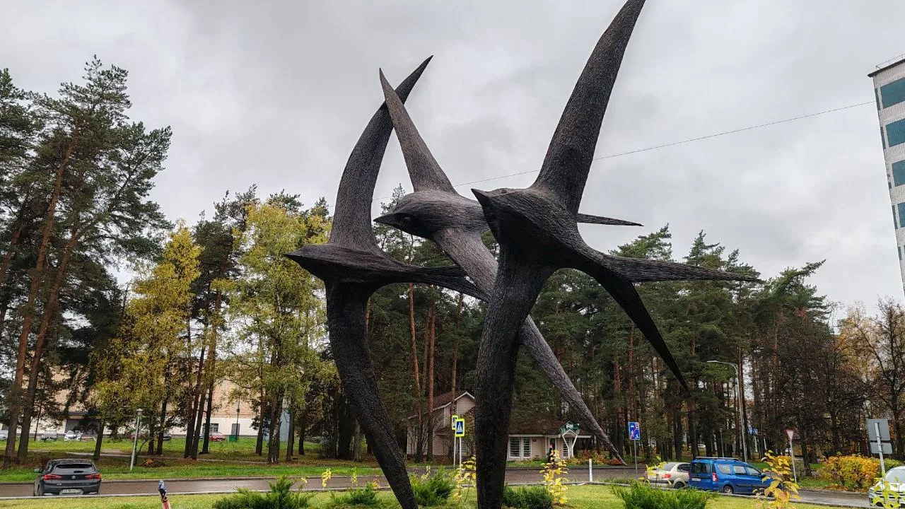 Фото: пресс-служба администрации г. о. Черноголовка