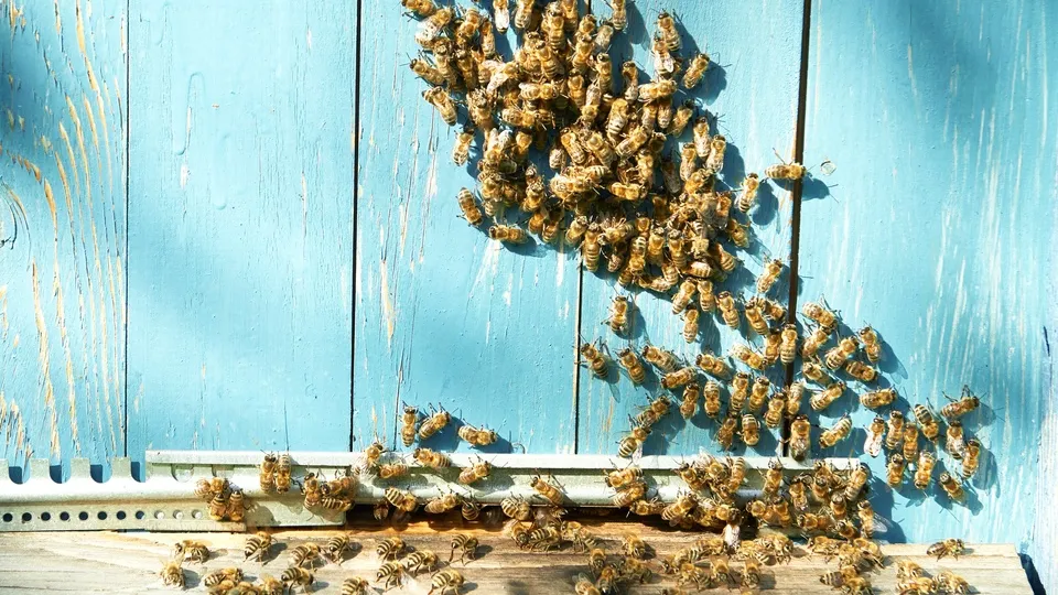 Фото: freepik.com