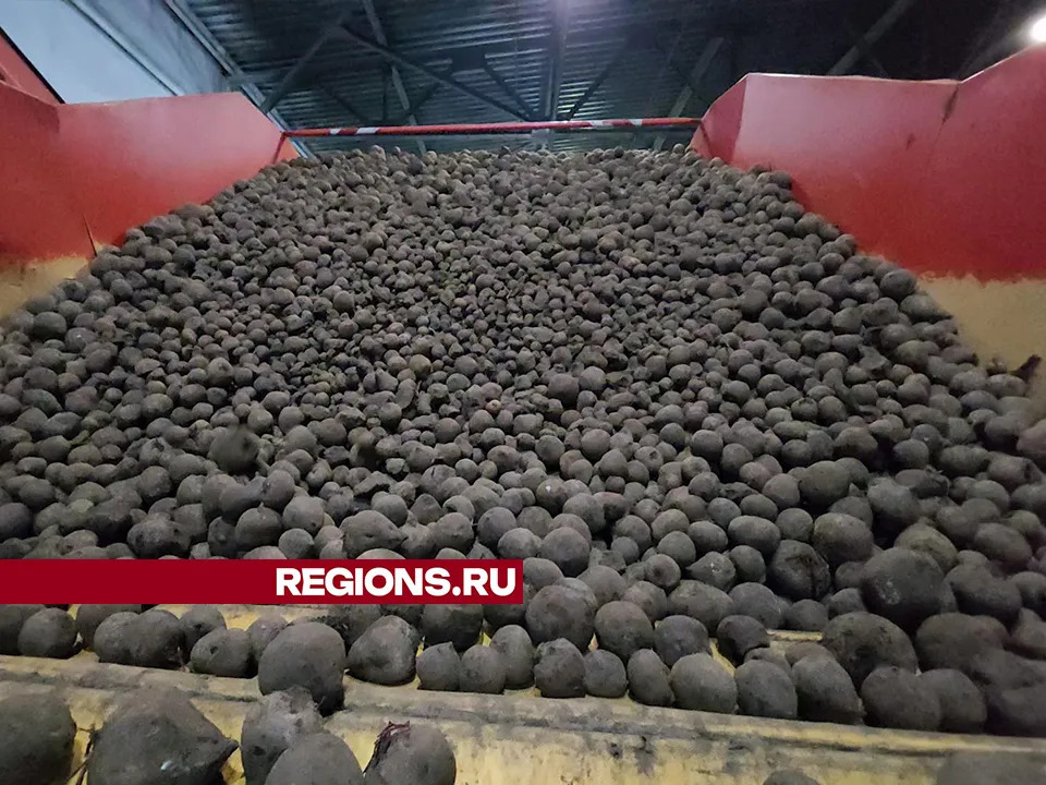 Фото: REGIONS/Валерий Гореловский