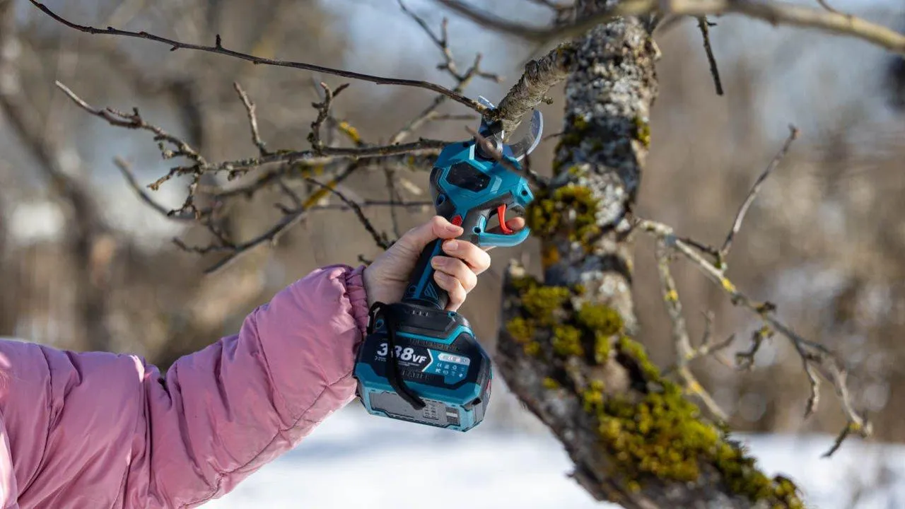 REGIONS/Роман Малышенко