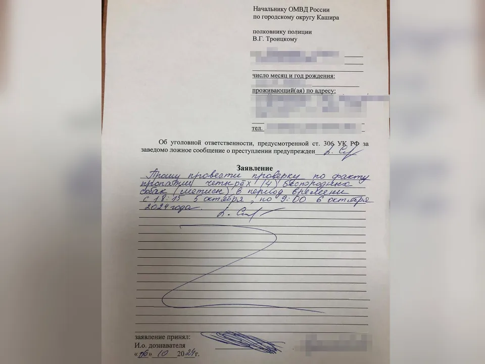 Фото: из личного архива хозяйки приюта Анны