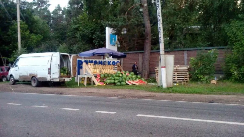 Раменскую стелу завалили бахчевыми