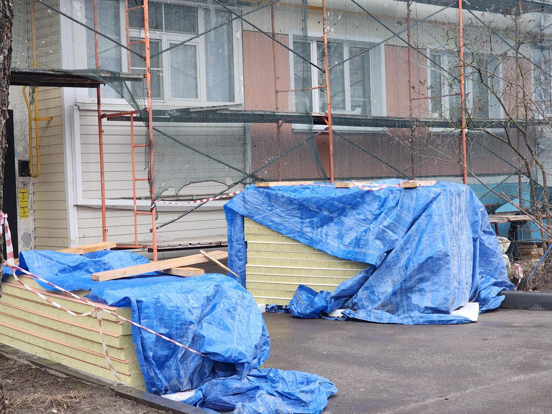 Фото: Светлана Плотникова.