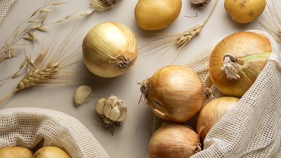 Фото: freepik.com