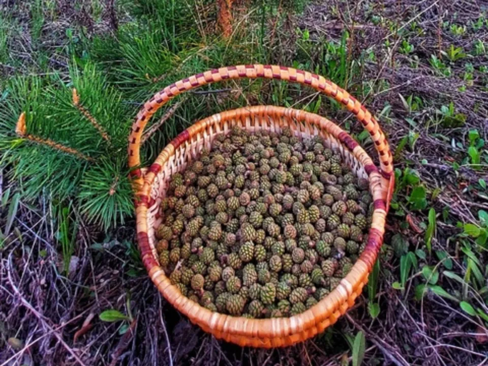 Фото: Василий Потапов