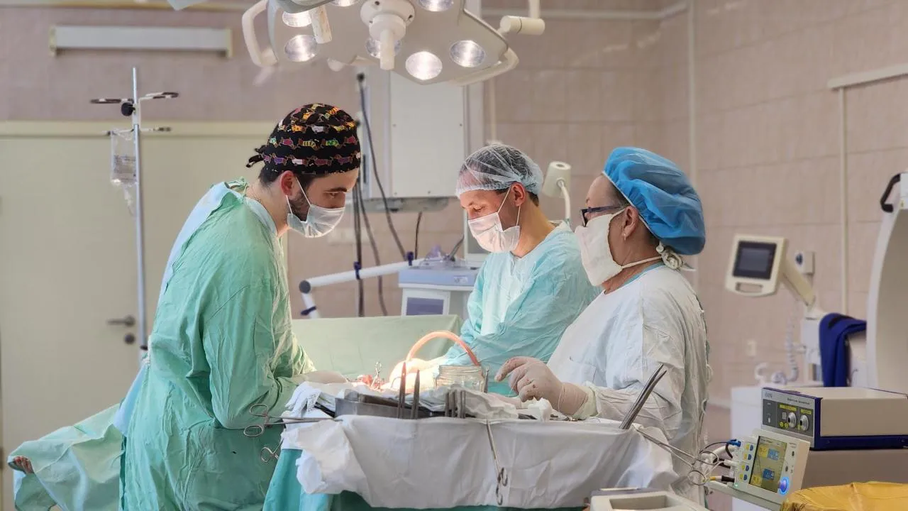 МедиаБанк Подмосковья/Валентина Максимова