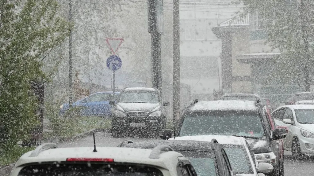 Фото: медиасток.рф