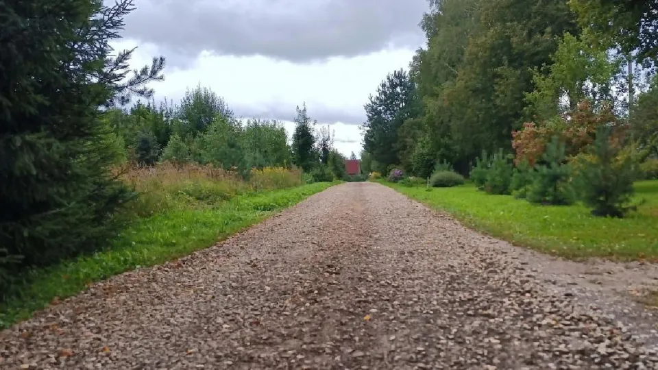 Фото: пресс-служба администрации Волоколамского м.о.