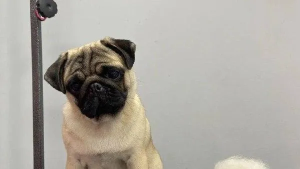 Министерство сельского хозяйства и продовольствия Московской области