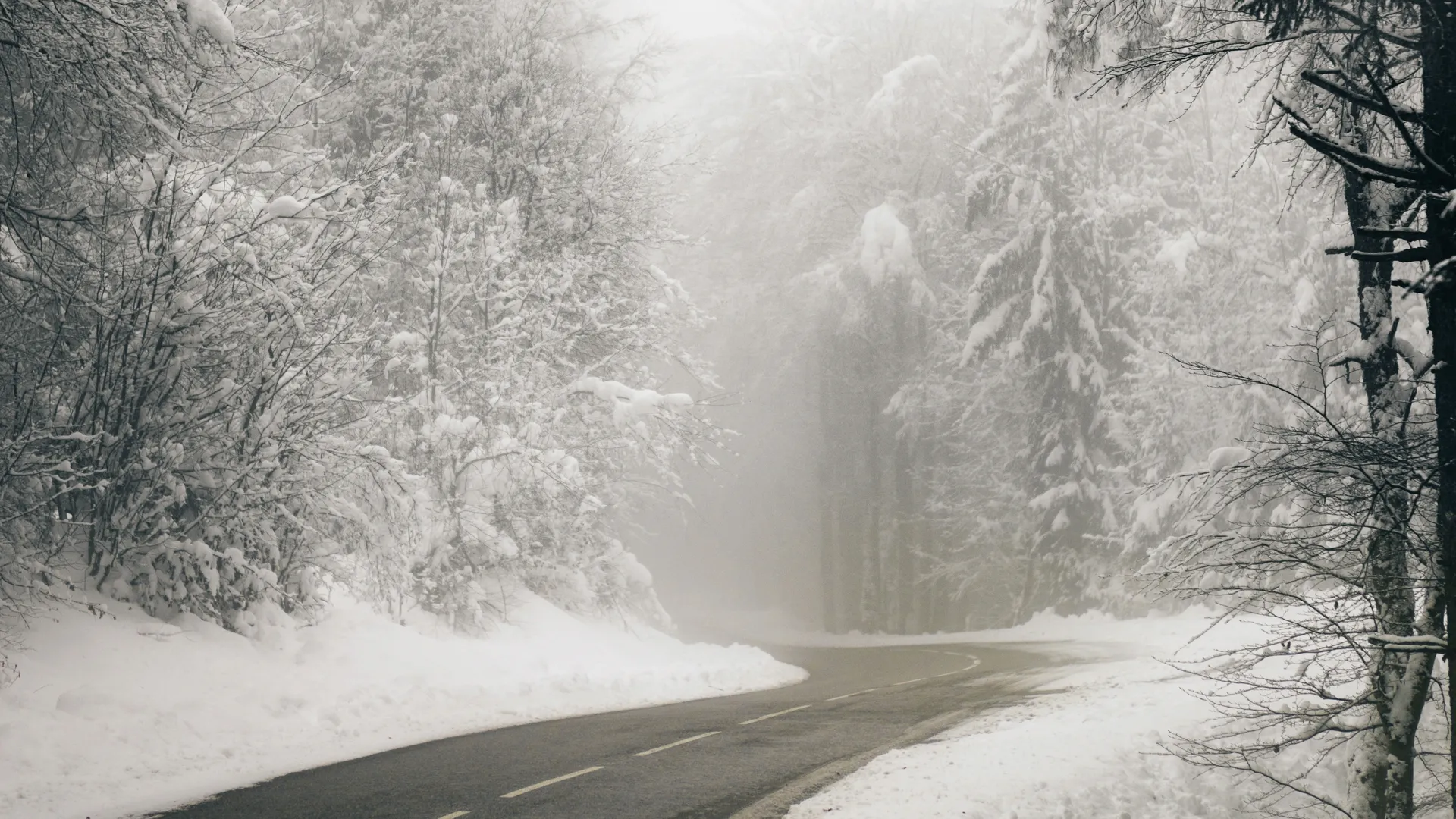 Фото: ru.freepik.com