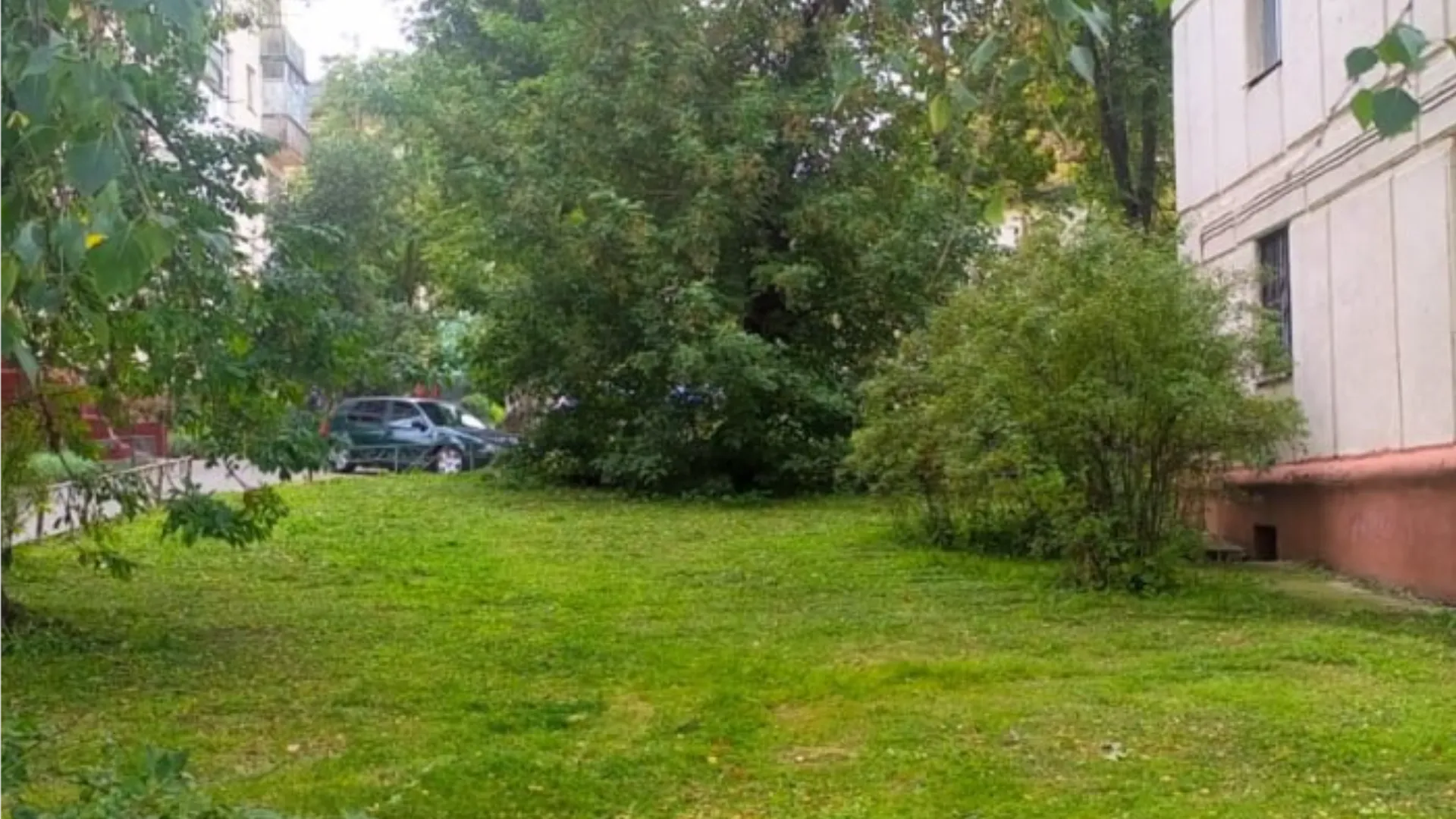 Фото: пресс-служба администрации г.о. Кашира