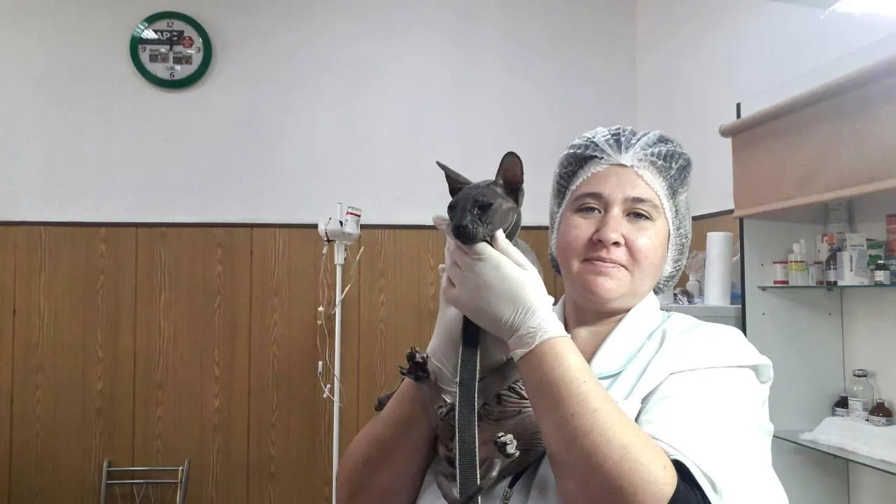 Пресс-служба Минсельхозпрод МО