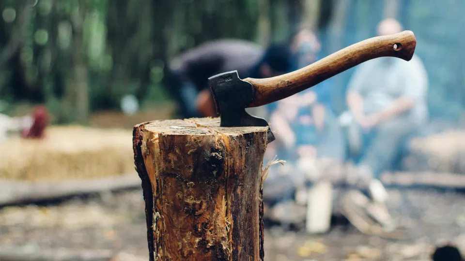 Фото: unsplash.com