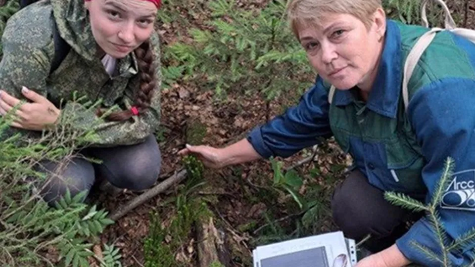 Фото: Комитет лесного хозяйства Московской области