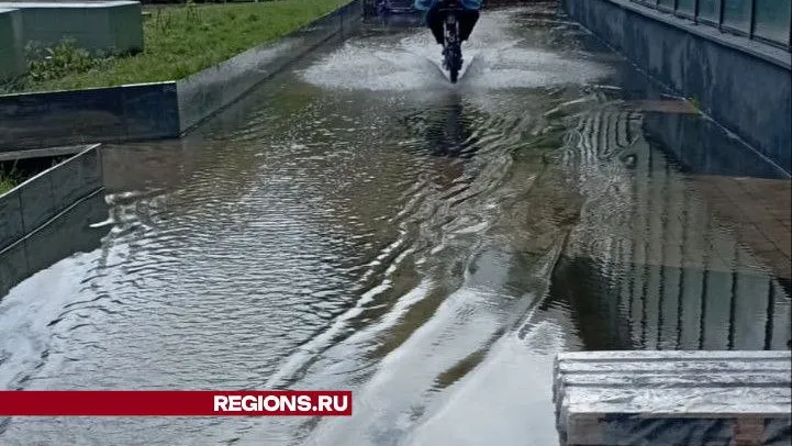 Фото: Елена Григорьева