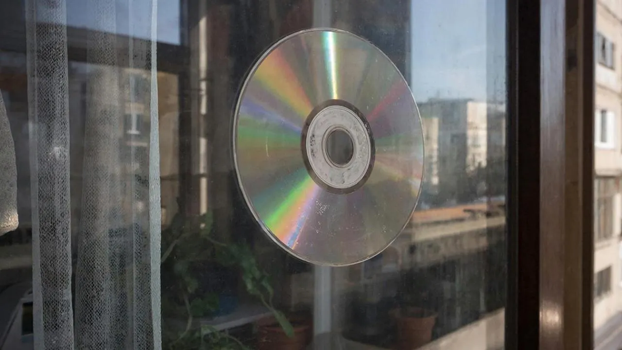 REGIONS/Сгенерировано нейросетью