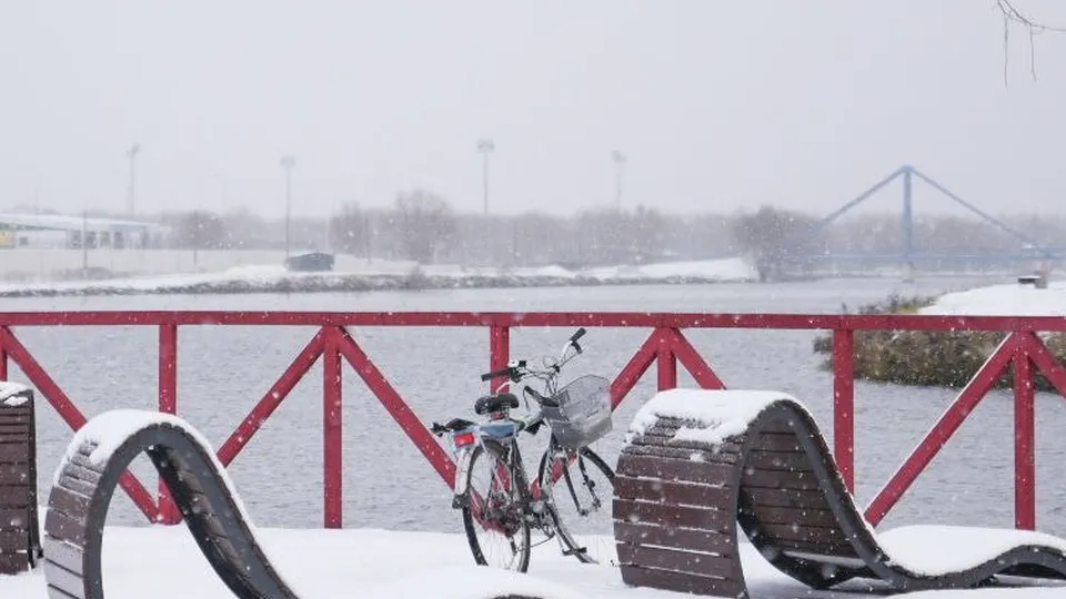 Фото: Ольга Антонова