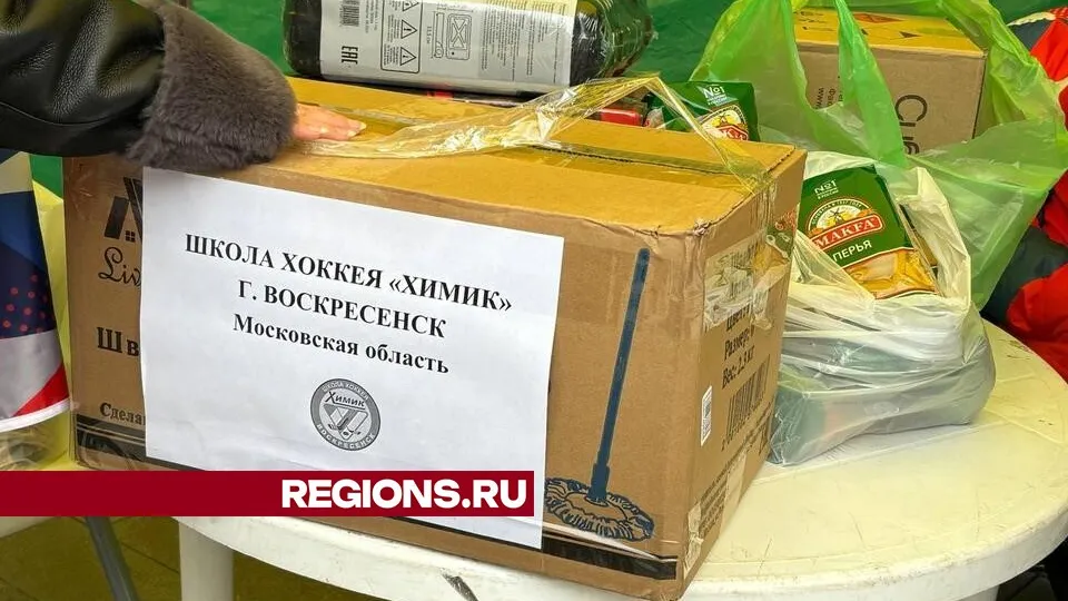 Фото: Светлана Плотникова