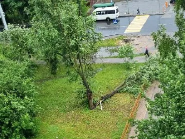 Фото: предоставлено очевидцем&nbsp;