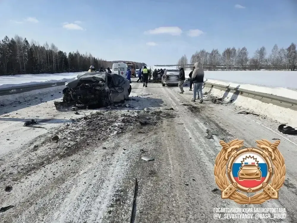 Владимир Севастьянов