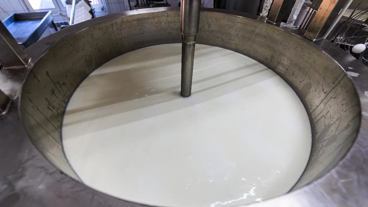 В Подмосковье выросли объемы производства сливок