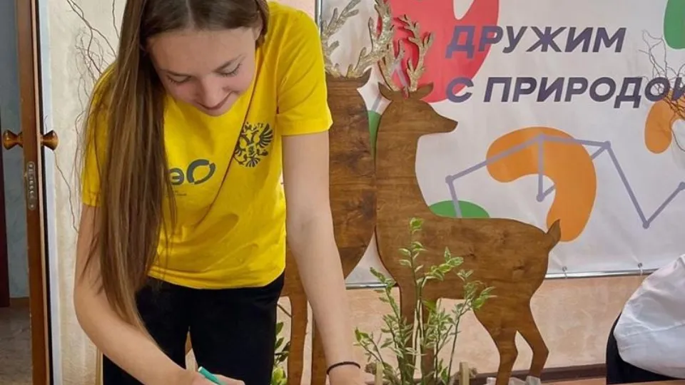 Фото: медиасток.рф