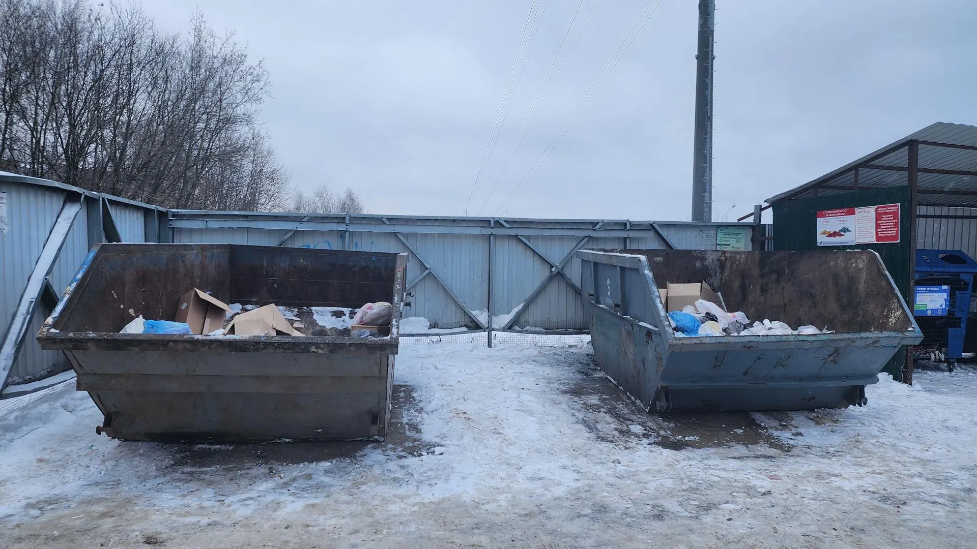 Ксения Пашуто