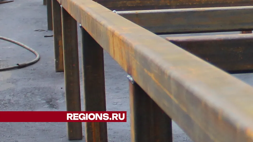 Фото: REGIONS/Василий Тремасов