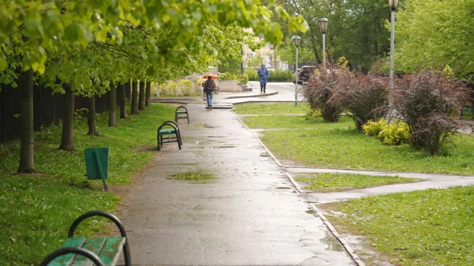 Фото: t.me/SoboleV_kotelniki