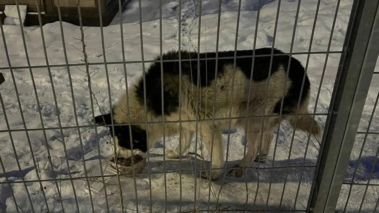 Фото: соцсети