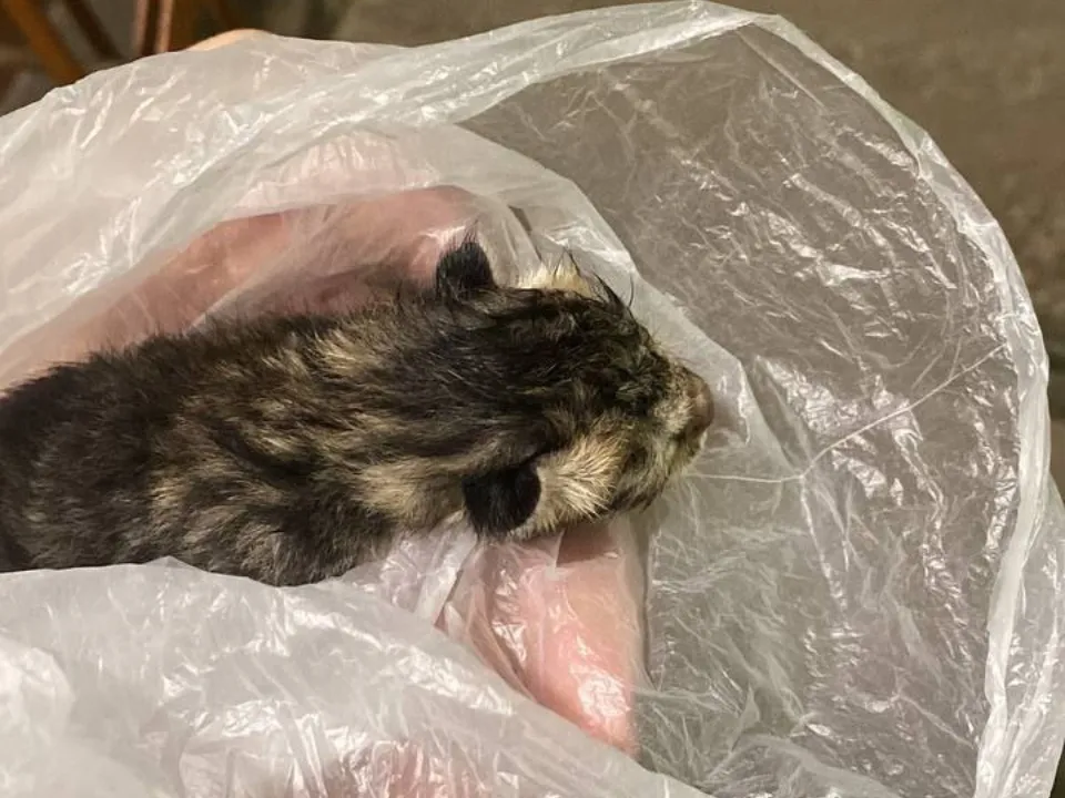 Фото: Татьяна Иванова