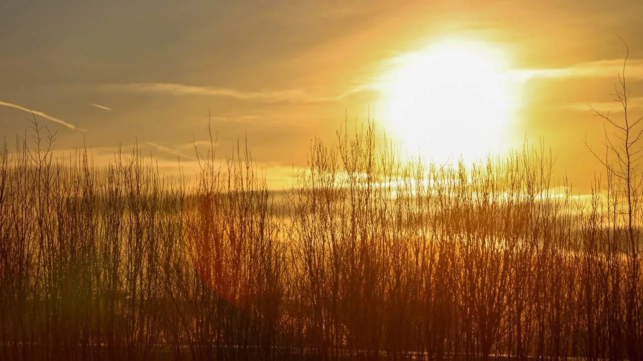 Солнце ударило перед стартом: что угрожает самому дальнему космическому путешествию человека