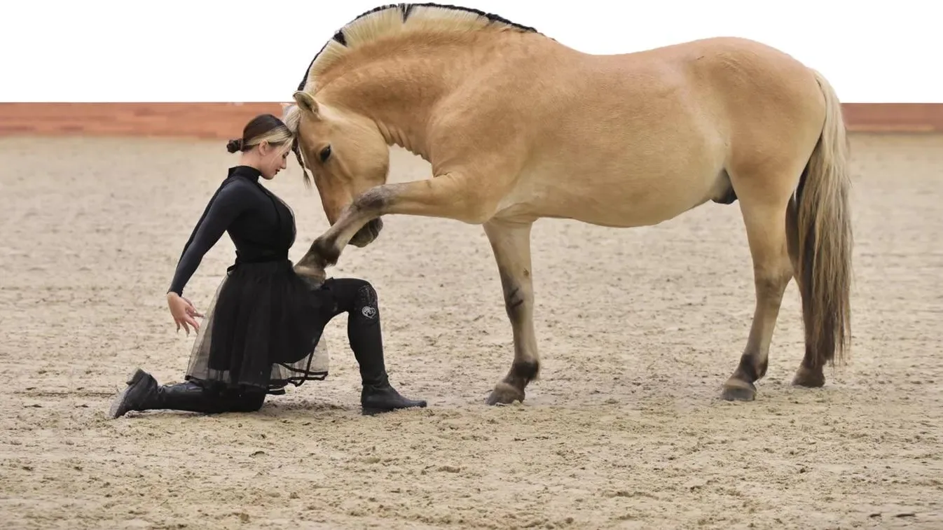 предоставлены организаторами выставки