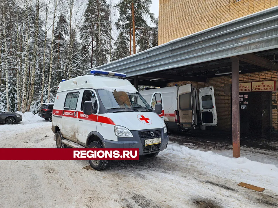 Фото: Екатерина Мелкозерова